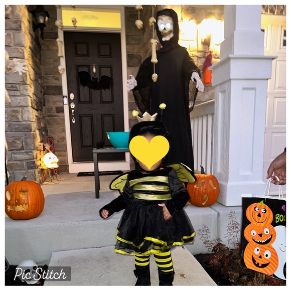 Infant Honey Bee costume - Picture 3 of 3